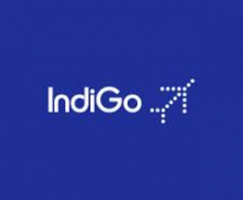 indigo coupons